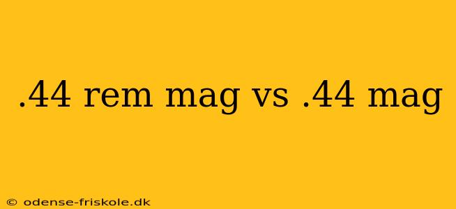 .44 rem mag vs .44 mag