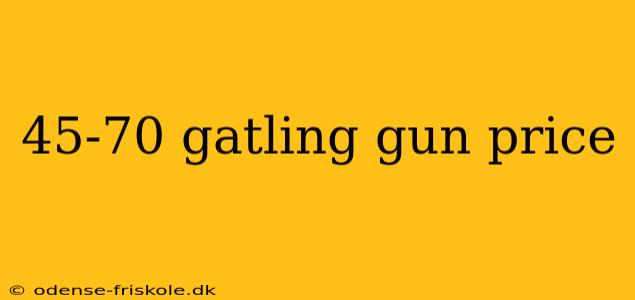 45-70 gatling gun price