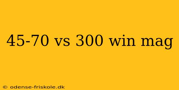 45-70 vs 300 win mag