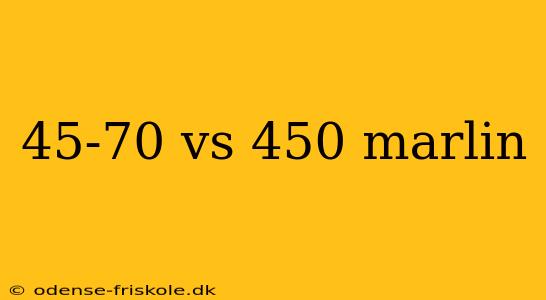 45-70 vs 450 marlin