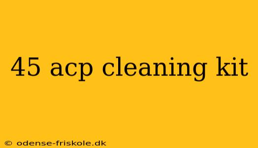 45 acp cleaning kit