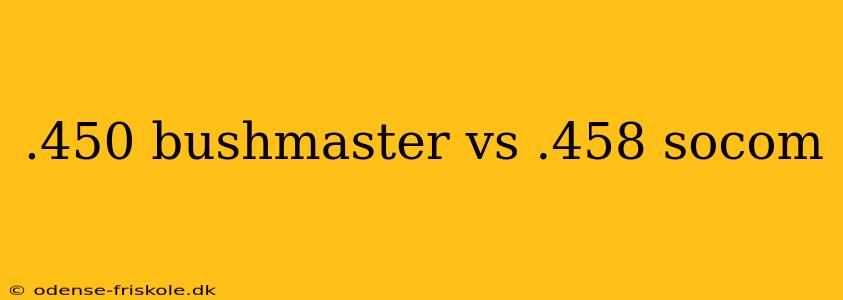 .450 bushmaster vs .458 socom