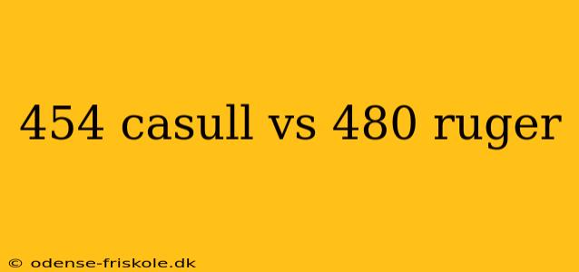 454 casull vs 480 ruger