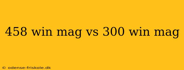 458 win mag vs 300 win mag