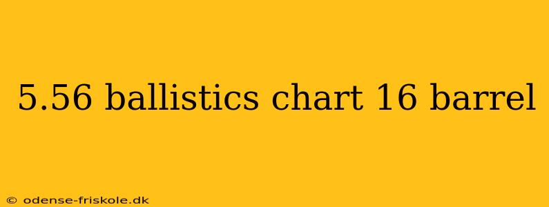 5.56 ballistics chart 16 barrel