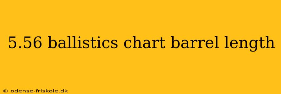 5.56 ballistics chart barrel length