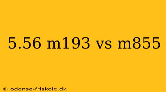 5.56 m193 vs m855