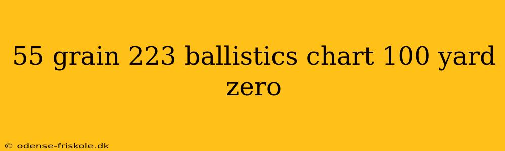 55 grain 223 ballistics chart 100 yard zero