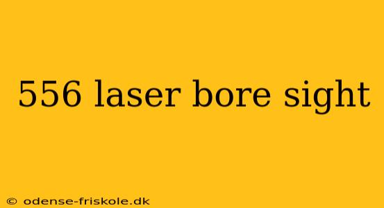 556 laser bore sight