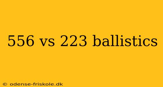 556 vs 223 ballistics