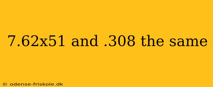 7.62x51 and .308 the same
