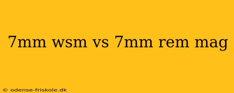 7mm wsm vs 7mm rem mag