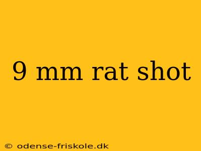 9 mm rat shot