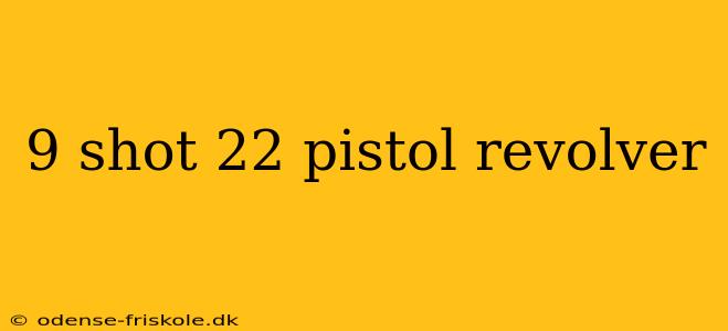 9 shot 22 pistol revolver