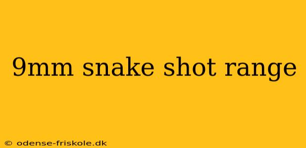 9mm snake shot range