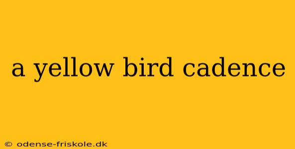 a yellow bird cadence