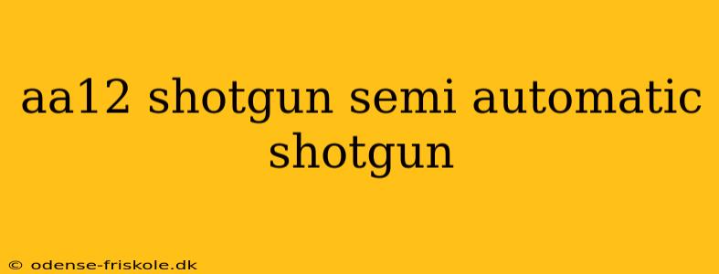 aa12 shotgun semi automatic shotgun