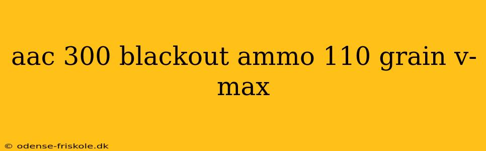 aac 300 blackout ammo 110 grain v-max