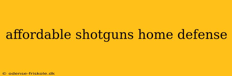 affordable shotguns home defense