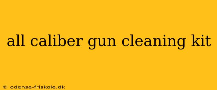 all caliber gun cleaning kit