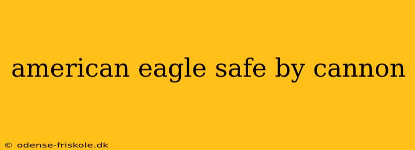 american eagle safe by cannon