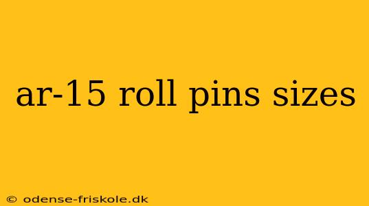 ar-15 roll pins sizes