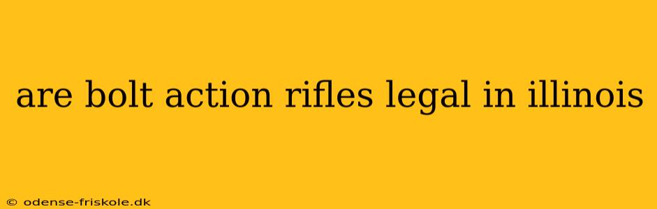 are bolt action rifles legal in illinois