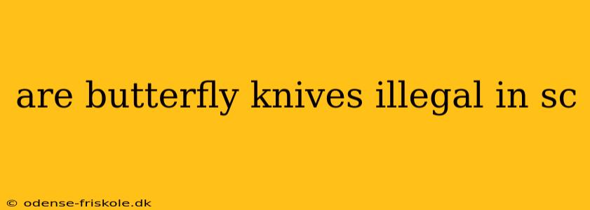 are butterfly knives illegal in sc