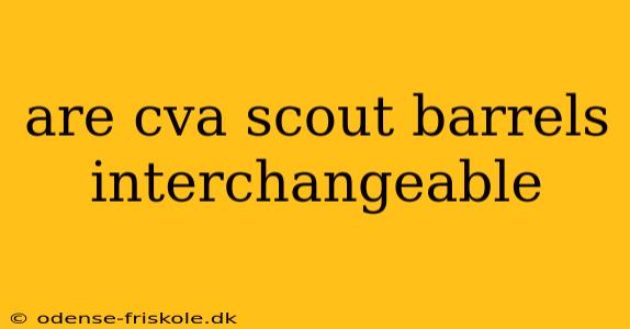 are cva scout barrels interchangeable