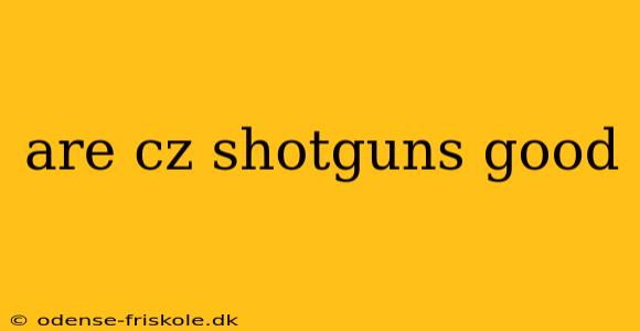 are cz shotguns good