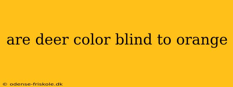 are deer color blind to orange