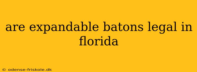 are expandable batons legal in florida