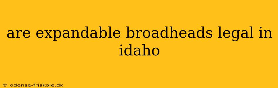 are expandable broadheads legal in idaho