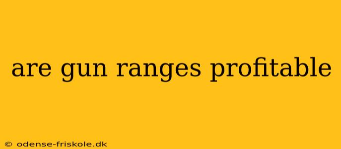 are gun ranges profitable