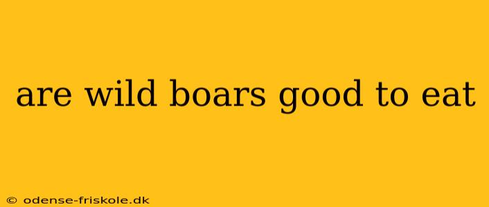 are wild boars good to eat