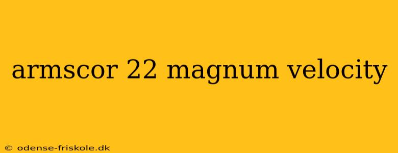 armscor 22 magnum velocity