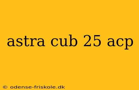 astra cub 25 acp