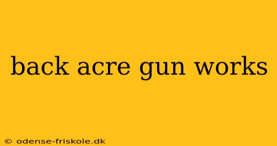 back acre gun works