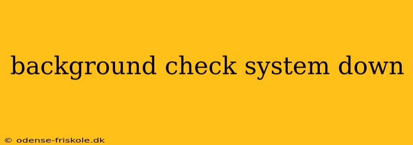 background check system down