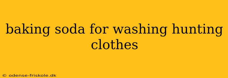 baking soda for washing hunting clothes