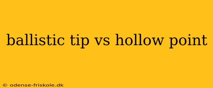 ballistic tip vs hollow point