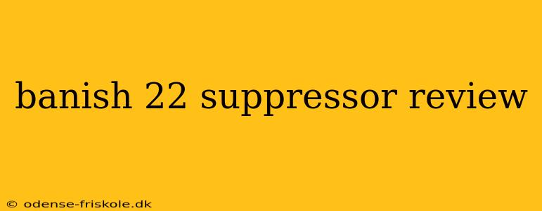 banish 22 suppressor review