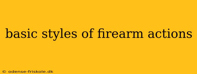 basic styles of firearm actions