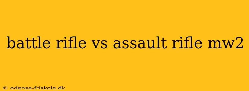 battle rifle vs assault rifle mw2