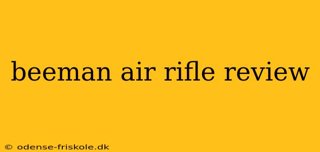 beeman air rifle review