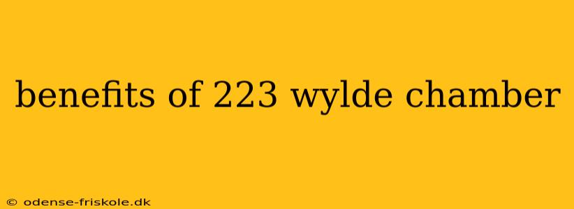 benefits of 223 wylde chamber