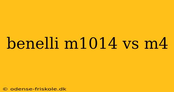 benelli m1014 vs m4