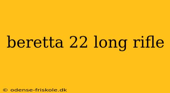 beretta 22 long rifle