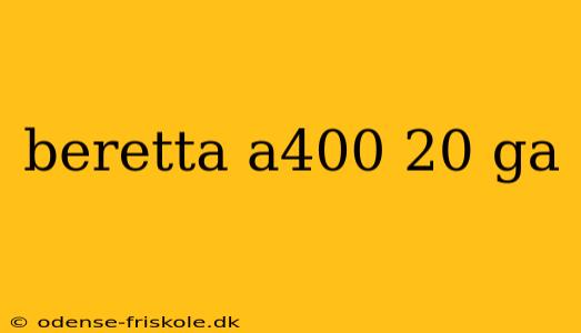 beretta a400 20 ga