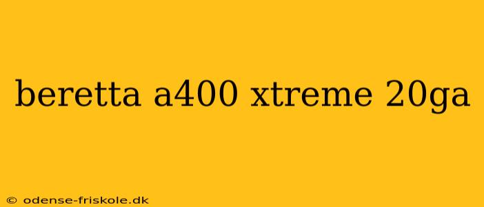 beretta a400 xtreme 20ga